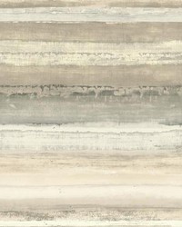 Perspective Removable Wallpaper Beiges White Off Whites by  York Wallcovering 