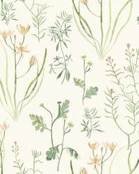Alpine Botanical Wallpaper White Off Whites by   