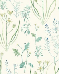 Alpine Botanical Wallpaper White Off Whites by   