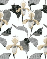 Lady Slipper Wallpaper Gold Gray by   