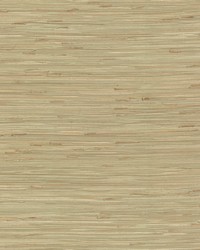 River Grass Wallpaper Greens by  Bravo Fabrics International LLC 