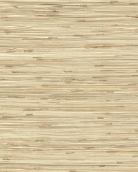 River Grass Wallpaper Beiges by  Bravo Fabrics International LLC 