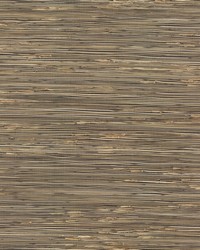 River Grass Wallpaper Blacks by  Bravo Fabrics International LLC 