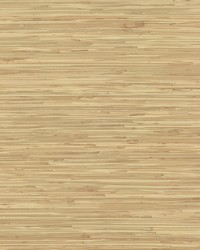 River Grass Wallpaper Beiges by  Bravo Fabrics International LLC 