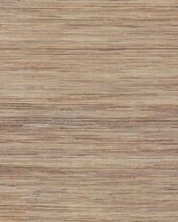 Raw Jute Wallpaper Metallics by  Bravo Fabrics International LLC 