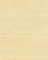 Jute Wallpaper Beiges by  Bravo Fabrics International LLC 