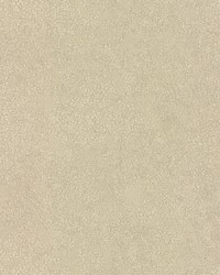 Weathered Wallpaper Cream by   