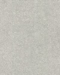 Weathered Wallpaper Light Gray by   