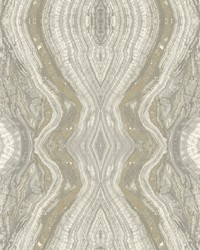 Kaleidoscope Wallpaper Light Gray by   
