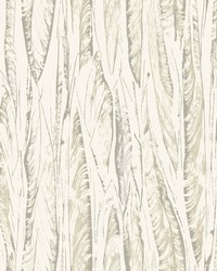 Native Leaves Wallpaper Cream Beige by   