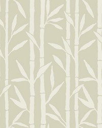 Bamboo Grove Wallpaper Beige by   