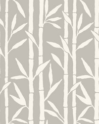 Bamboo Grove Wallpaper Gray by   