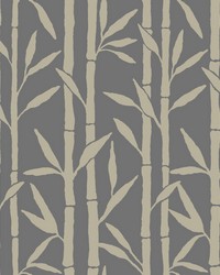 Bamboo Grove Wallpaper Charcoal by   