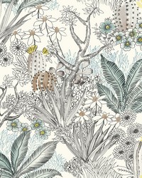 Flowering Desert Wallpaper Black by   