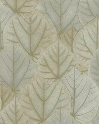 Leaf Concerto Wallpaper Taupe by   