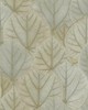 York Wallcovering Leaf Concerto Wallpaper Taupe