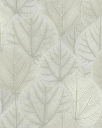Leaf Concerto Wallpaper Gray by   