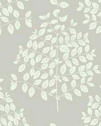 Tender Wallpaper Pearl Gray by  P K Lifestyles 