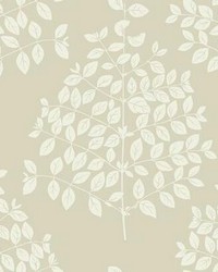 Tender Wallpaper Pearl Taupe by   