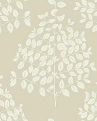 Tender Wallpaper Pearl Taupe by  P K Lifestyles 