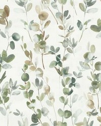 Joyful Eucalyptus Wallpaper Green by   