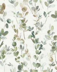 Joyful Eucalyptus Wallpaper Green by  P K Lifestyles 