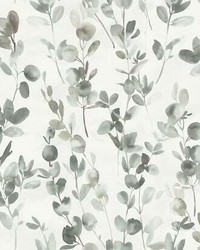 Joyful Eucalyptus Wallpaper Gray Taupe by   