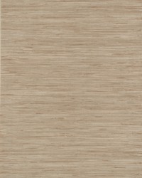 Lustrous Grasscloth Wallpaper Beiges by   