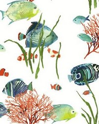 Tropical Reef Peel and Stick Wallpaper Primary by   
