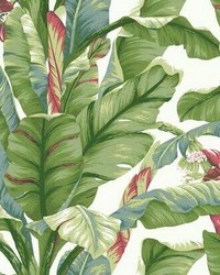 Banana Leaf Peel and Stick Wallpaper White Green by  Mitchell Michaels Fabrics 