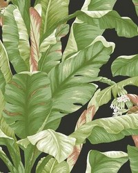 Banana Leaf Peel and Stick Wallpaper Black Green by  Old World Weavers 