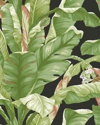 Banana Leaf Peel and Stick Wallpaper Black Green by  Kravet Wallcovering 