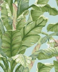 Banana Leaf Peel and Stick Wallpaper Blue Green by  Kravet Wallcovering 