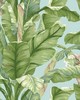 York Wallcovering Banana Leaf Peel and Stick Wallpaper Blue/Green