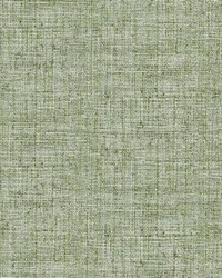 Papyrus Weave Peel and Stick Wallpaper Green by   