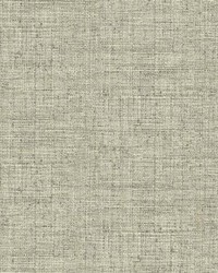 Papyrus Weave Peel and Stick Wallpaper Neutral by   