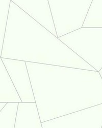 Fractured Prism Peel and Stick Wallpaper Gray by   