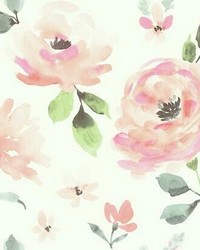 Watercolor Blooms Peel and Stick Wallpaper Coral by   