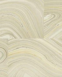 Onyx Peel and Stick Wallpaper Gray by   