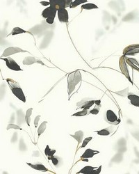 Linden Flower Peel and Stick Wallpaper Black by  York Wallcovering 