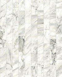 Marble Planks Peel and Stick Wallpaper Warm Neutral by   