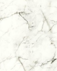 Palace Marble Peel and Stick Wallpaper White Gray by   