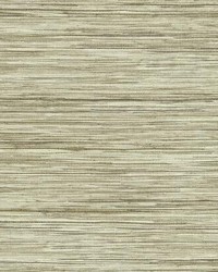 Bahia Grass Peel and Stick Wallpaper Beige by   