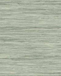 Bahia Grass Peel and Stick Wallpaper Gray by   