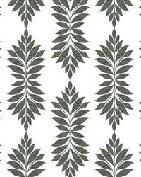 Broadsands Botanica Peel and Stick Wallpaper Black by  York Wallcovering 