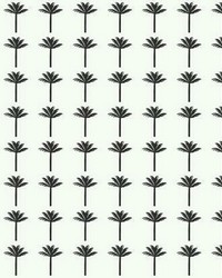 Palm Bay Peel and Stick Wallpaper Black  by  Old World Weavers 