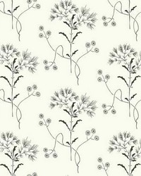 Magnolia Home Wildflower Peel and Stick Wallpaper Black White by  Kast 