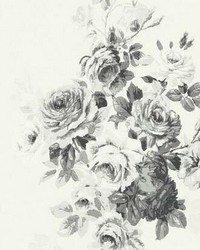Magnolia Home Tea Rose Peel and Stick Wallpaper White Black by   