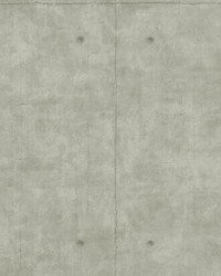 Magnolia Home Concrete Peel and Stick Wallpaper Gray by   