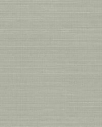 Laguna Abaca Peel and Stick Wallpaper Gray by   